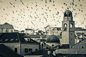 Images Dated 8th February 2013: Croatia, Dalmatia, Dubrovnik, Old Town (Stari Grad), Clock Tower surrounded by birds