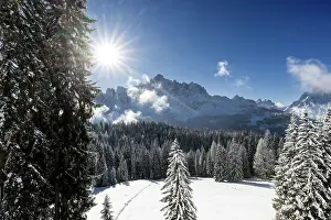 Sexten Prints: Croda Rossa group from the forest of Biotopo Monte Covolo after a snowfall