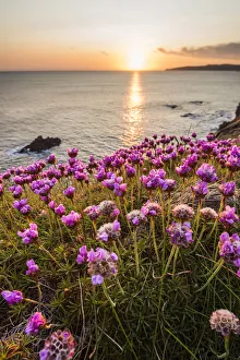 Crohy Head, County Donegal, Ulster region, Ireland, Europe