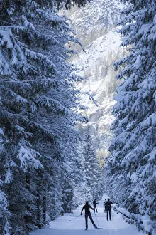 cross country skiing, Dolomites Alps, Alto Adige, Italy