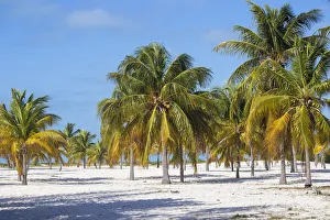 Cuba, Isla de la Juventud, Cayo Largo Del Sur, Playa Sirena