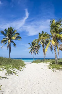 Cuba, Jardines del Rey, Cayo Coco, Playa Larga