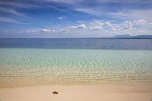 Cuba, Pinar del Rio Province, Cayo Levisa, Starfish on white sand beach Cuba, Pinar del Rio Province, Cayo Levisa, Starfish on white sand beach
