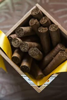 Images Dated 23rd October 2012: Cuba, Pinar del Rio Province, Pinar del Rio, Cuban Cigars at the Casa del Habano shop