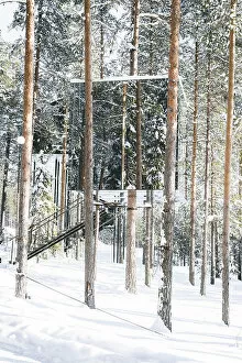 Images Dated 31st October 2022: Cube shaped room on snowy trees with mirror walls, Tree hotel, Harads, Lapland, Sweden