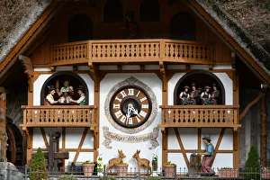 Cuckoo Clock, Black Forest (Schwarzwald), Germany