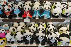 Images Dated 14th November 2014: Cuddly Pandas for sale, Shanghai, China