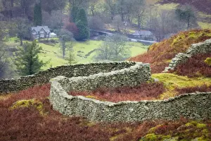 Curved Prints: Curving dry stone wall on Loughrigg Fell near Ambleside, Lake District National Park
