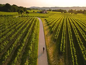 Cycling Gallery: Cycling through the vineyards of Franciacorta at sunset, Brescia province, Lombardy