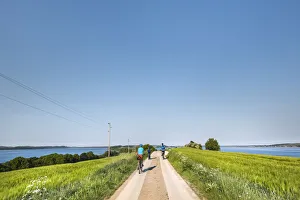 Cyclists, Reddevitzer Haoft, Maonchgut, RAogen Island, Mecklenburg-Western Pomerania