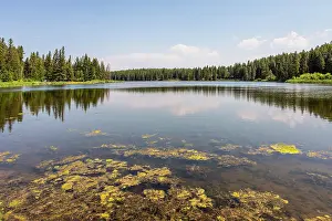 Saskatchewan Prints: Cypress Hills Interprovincial Park, Saskatchewan, Canada, North America