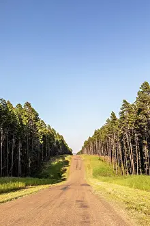 Saskatchewan Prints: Cypress Hills Interprovincial Park, Saskatchewan, Canada, North America