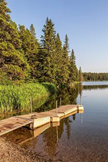 Saskatchewan Prints: Cypress Hills Interprovincial Park, Saskatchewan, Canada, North America