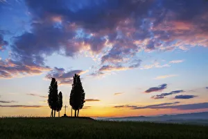 Tuscany Prints: Cypress Trees & Cross at Sunrise, Val d Orcia, Tuscany, Italy