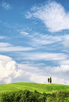 Val Dorcia Prints: Cypress trees and rolling hills, Val d'Orcia, Tuscany, Italy