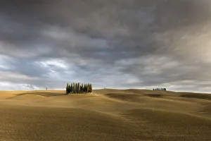 Images Dated 22nd December 2017: Cypress trees surrounded by ploughed fields with a stormy sky, Val d Orcia, Tuscany