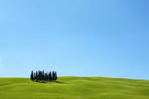 Images Dated 30th August 2019: Cypress trees and Tuscan landscape in Val d Orcia, San Quirico d Orcia, Tuscany