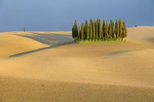 Images Dated 31st March 2018: Cypress trees in Val d Orcia, plowed field and stormy weather. Tuscany, Italy