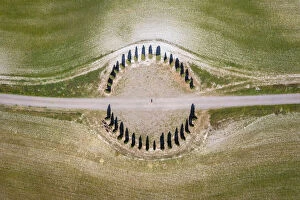 Cypresses Ring near the famous San Quirico d Orcia cypresses