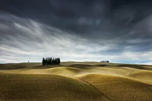 Images Dated 13th July 2020: Cypresses and rolling hills near Montalcino, Val d Orcia, Tuscany, Italy
