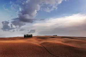 Produce Gallery: Cypresses and rolling hills at sunset near Montalcino, Val d Orcia, Tuscany, Italy