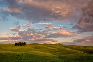 The Cypresses of the Val d Orcia at sunset