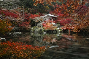 Kyoto Prints: Daigo Ji, Kyoto, Japan