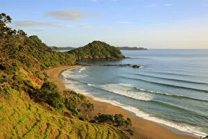 Images Dated 2nd September 2021: Daisy Bay, Tutukaka, Northland, North Island, New Zealand
