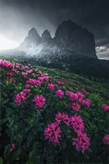 Sassopiatto Prints: A dark edit for this image taken during a gloomy summer afternoon at the Sella Pass