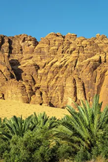 Date Palms Prints: Date palms in the Oasis of Al-Ula, Medina Province, Saudi Arabia