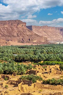 Date Palms Prints: Date palms in the Oasis of Al-Ula, Medina Province, Saudi Arabia