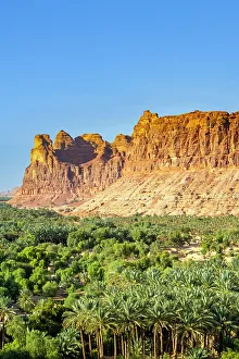 Date Palms Prints: Date palms in the Oasis of Al-Ula, Medina Province, Saudi Arabia