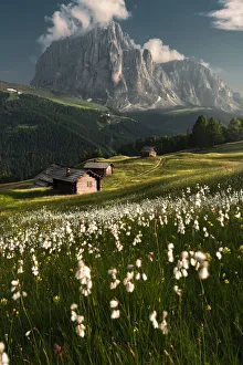 Pastures Prints: Daunei, Selva Val Gardena, Gardena Valley, South Tyrol, Dolomites, Italy, Europe