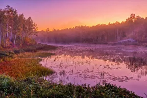 Central Canada Prints: Dawn light on marsh adjacent Lake Laurentian