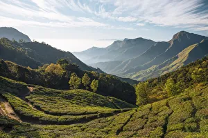 Kerala Prints: Dawn light from Top Station, Kerala, India