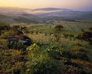 V Iew Collection: Dawn and mist in valley near Zeak