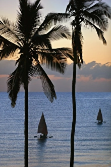 Msambweni Prints: Dawn at Msambweni, south of Mombasa