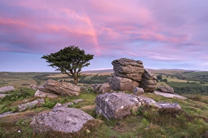 August Prints: Dawn rainbow above Holwell Tor, Dartmoor, Devon, England. Summer (August)