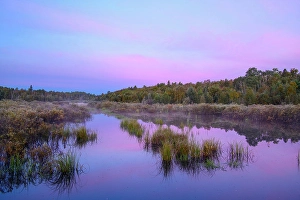 Ponds Prints: Dawn skies reflected in a beaver pond, Greater Sudbury, Ontario, Canada