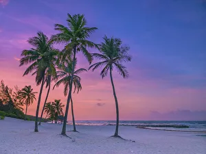 Cayman Prints: Daybreak at Beach Bay on Grand Cayman, Cayman Islands, British West Indies