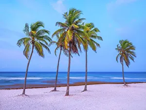 Cayman Prints: Daybreak at Beach Bay on Grand Cayman, Cayman Islands, British West Indies