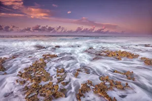 Ironshore Prints: Daybreak on the Caribbean Sea at Grand Cayman, British West Indies