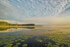Algonquin Prints: Daybreak on Lake Travers, Algonquin Provincial Park, Ontario, Canada