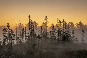Daybreak Prints: Daybreak in the Torrance Barrens, Muskoka, Ontario, Canada