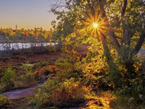 Autumn Color Prints: Daybreak at the Torrance Barrens in Muskoka, Ontario, Canada