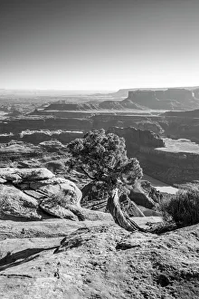 Moab Prints: Dead Horse Point State Park, Utah, USA