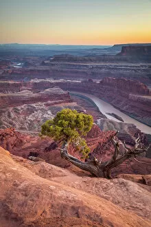 Images Dated 3rd April 2023: Dead Horse Point State Park, Utah, USA