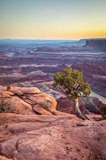 Images Dated 3rd April 2023: Dead Horse Point State Park, Utah, USA