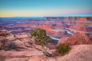 Images Dated 28th March 2023: Dead Horse Point State Park, Utah, USA