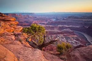 Images Dated 3rd April 2023: Dead Horse Point State Park, Utah, USA
